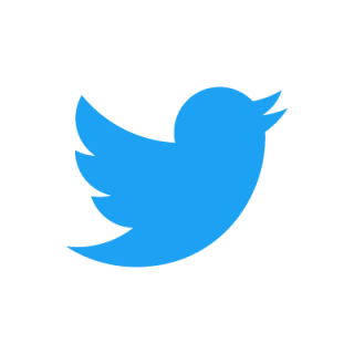 Official Twitter logo