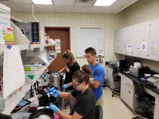 graduate students prepping samples in lab