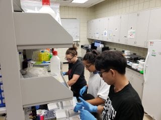students working in laboratory 